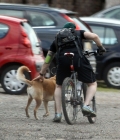 Filename=Training06.jpg
Filesize=103KiB
Dimensions=675x900
Date added=Jun 18, 2013 Training06.jpg