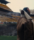 DKR109591.jpg